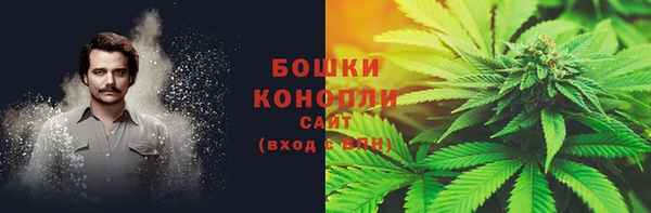 ПСИЛОЦИБИНОВЫЕ ГРИБЫ Абаза