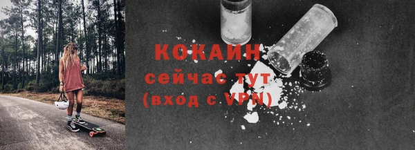 ПСИЛОЦИБИНОВЫЕ ГРИБЫ Абаза