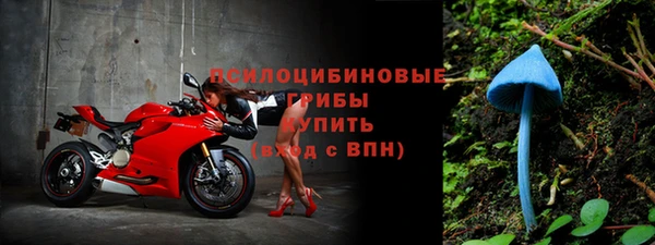 ПСИЛОЦИБИНОВЫЕ ГРИБЫ Абаза