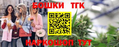 сатива Кингисепп