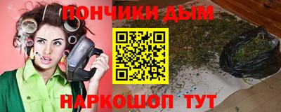сатива Кингисепп