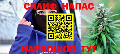 сатива Кингисепп