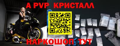 сатива Кингисепп