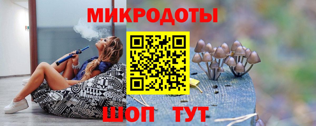Курчатов  наркота  Вход с VPN  Галлюциногенные грибы Psilocybe  Галлюциногенные грибы мицелий 