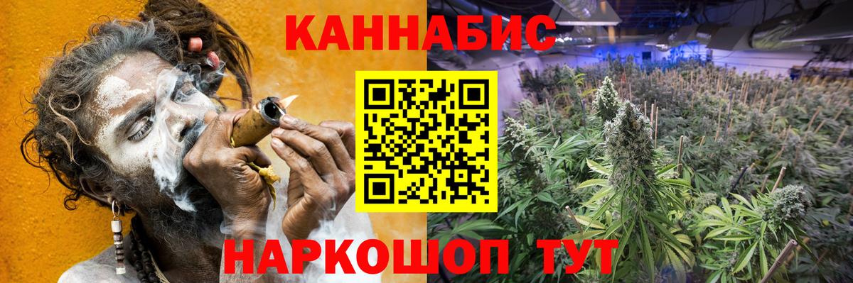 Курчатов  Конопля конопля  Шишки марихуана Amnesia  Вход с VPN  Конопля сатива 